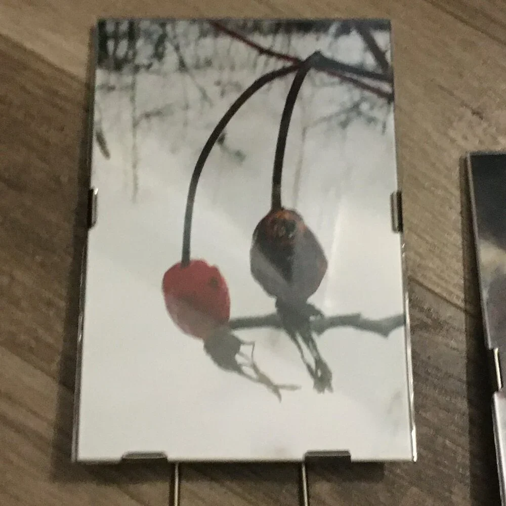 Lot of 3 Simple Glass & Metal Photo Frames Canadian Winter Nature Photography - Picture 7 of 9